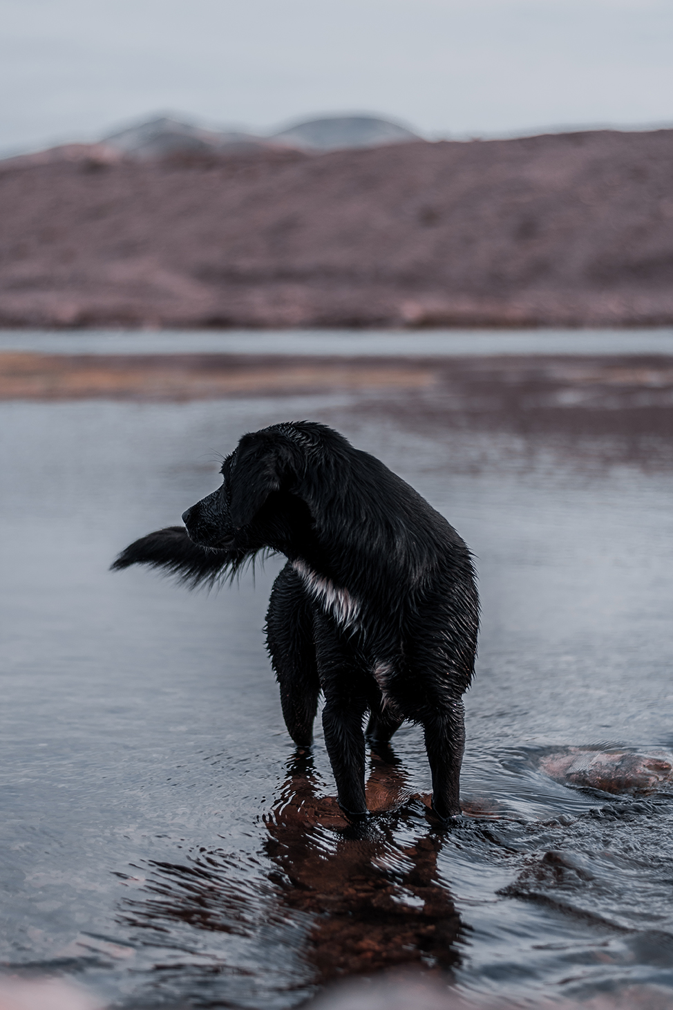 Fotografía del portfolio